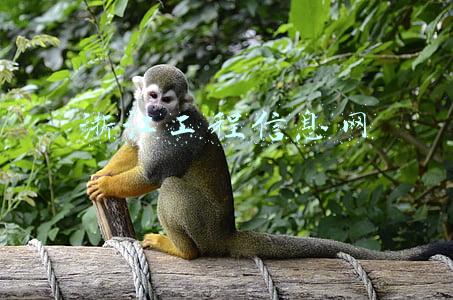 浙江工程信息网 浙江工程信息网