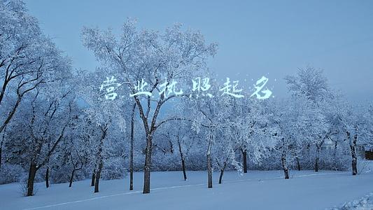 营业执照起名大全(商标如何起名，创业路上的第一道难关)