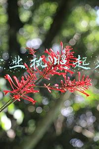 营业执照起名字大全(公司注册名字怎么起？)
