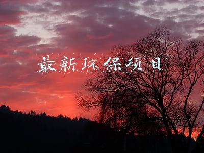 环保创业项目(创业不是只有奶茶和餐馆，环保项目更挣钱，收藏迟了就找不到了)