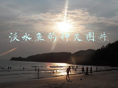 淡水鱼的种类图片