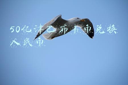 50亿津巴布韦币兑换人民币