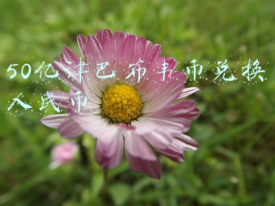 50亿津巴布韦币兑换人民币