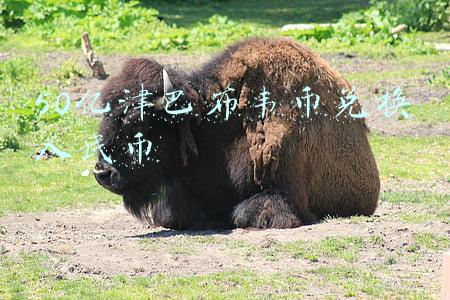 津巴布韦(中企在津巴布韦现状调查：造福当地 受民众欢迎)