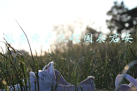 股票开户流程国泰君安