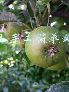 小学生手工简单又漂亮千纸鹤(动物折纸：最经典的千纸鹤折法)