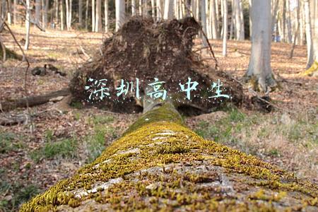 深圳高中生可以带手机吗(寒假期间怎样管理手机？)