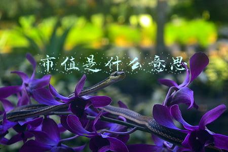 市值是什么意思