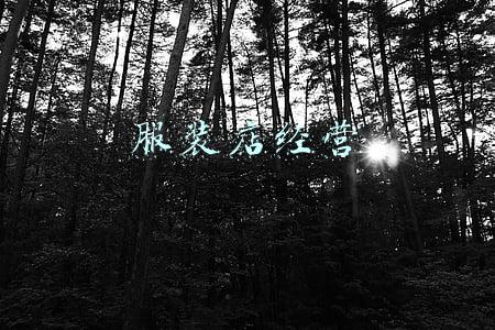 服装店经营技巧(有经验懂技巧，才能成功开好服装店)