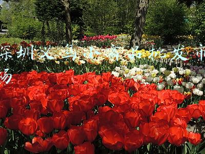 深圳义乌小商品批发市场在哪里(龙岗开设17家“夜间核酸检测点”，提供24小时或夜间服务)