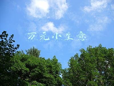 万元开店的小生意(乡镇城市让人闷声发财的万元投资创业小生意)