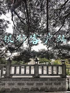 招商银行客户端app下载(聪明又贴心！招商银行手机银行APP7.0再升级)