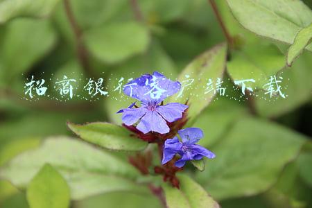 招商银行最新版本下载(亿万用户的智能财富生态圈，招商银行App进化史)