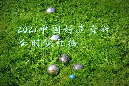 2021中国好声音什么时候开播禁闭岛(开心麻花春晚班底集结，杜晓宇首导《危险而甜蜜》“上天入地”)