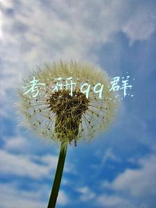 考研qq群
