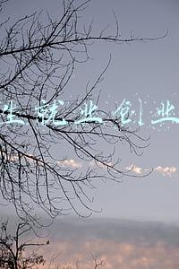 大学生就业创业论文