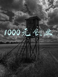 1000元创业开店(用3000元摆摊，我两个月赚到了二十多万，一年时间开了几十家)
