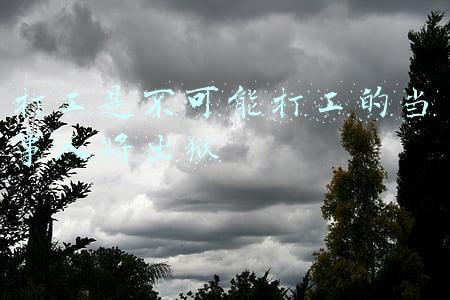 打工是不可能打工的当事人将出狱