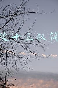 金陵十三钗简介剧情(战争背景之下的一抹艳色芬芳，《金陵十三钗》你真的看懂了吗？)