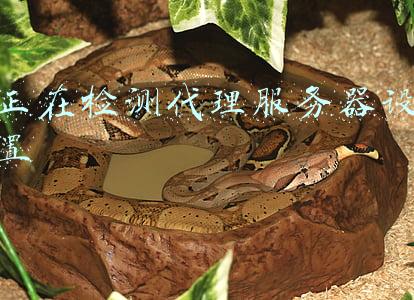 戴尔服务器代理商(甲方称 Dell 三家代理商串标，请求法院废标：证据不足、被驳回)