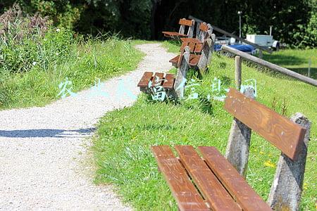 农业致富网下载(农业如何致富？特色农业致富项目)