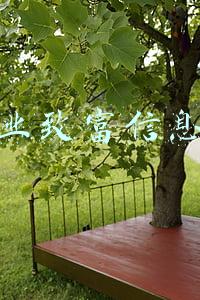 中国农业致富信息网(鸭和鹅能杂交繁殖吗？后代产蛋能力强，优点多，能养殖致富吗？)