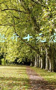 香开始的成语(炊烟袅袅思故乡)