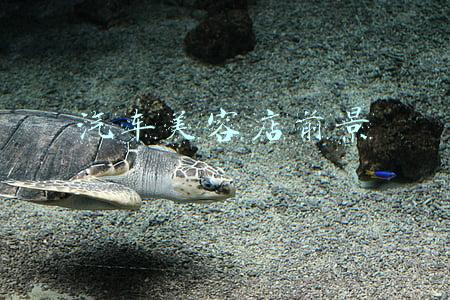 汽车美容店前景 汽车美容店前景