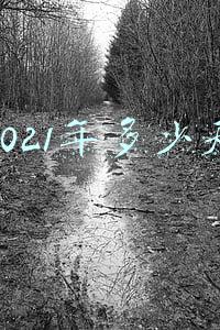 2021年多少天全年多少天(新华时评｜奔向星辰大海，不懈奋斗)