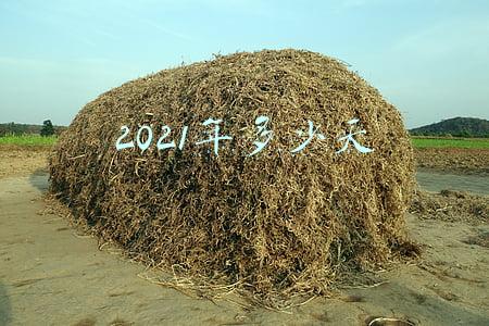 2021年多少天工作日(上闹钟 睡好觉！新年第一个工作日要来了)