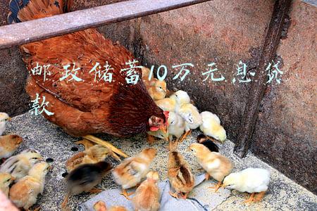 装修贷(没钱装修也能贷款，但关于装修贷款的这些坑你必须知道)