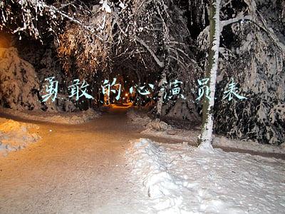 勇敢的心演员表