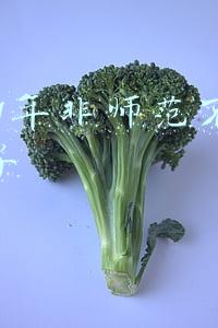 2021年非师范生不能考教师编制吗(教育部出“难关”，2022年或成考编最易年，对非师范很友好)
