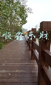 同花顺鑫东财配资