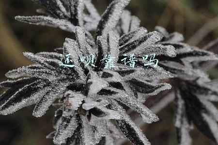 还呗靠谱吗