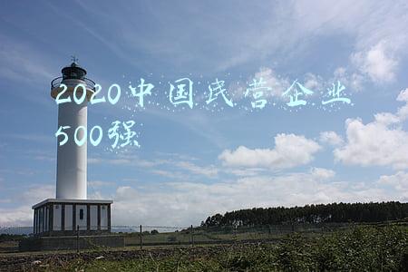 2020中国民营企业500强