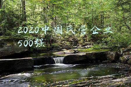 2020中国民营企业500强