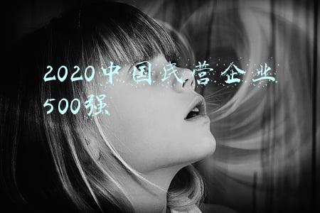 2020中国民营企业500强