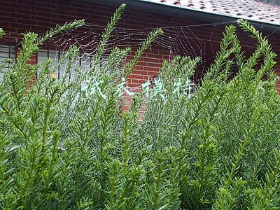 试衣模特招聘靠谱吗(警惕网拍模特招聘中的高价“模卡”骗局)