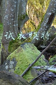 试衣模特靠谱吗(双11前的四季青有多疯狂？95后试衣模特：一天试穿不下100件衣服)