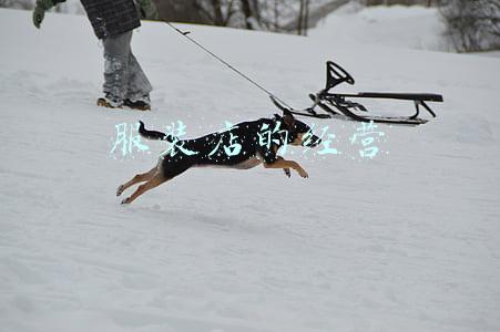 服装店的经营