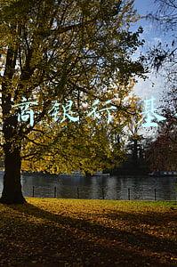 招商银行基金手续费(招商证券超过3000只A类份额基金申购费率降至一折 费率将与互联网平台拉平)