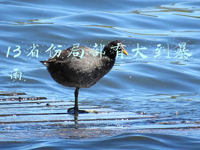 13省份局部有大到暴雨w(暴雨黄色预警：河南湖北安徽等13省区市部分地区有大到暴雨)