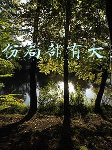 13省份大到暴雨(中央气象台发布暴雨黄色预警 13省份局部有大到暴雨)
