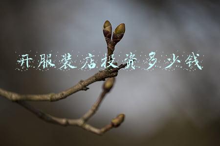 开一家服装店大概需要多少钱(开一家服装店大概要投资多少)