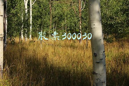 股票300030