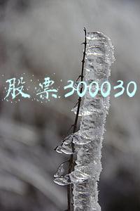 股票300030