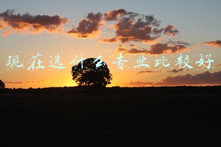 现在学什么专业比较好(大学专业前景分5个梯队，生化环材仍是“天坑”，教育屹立不倒)