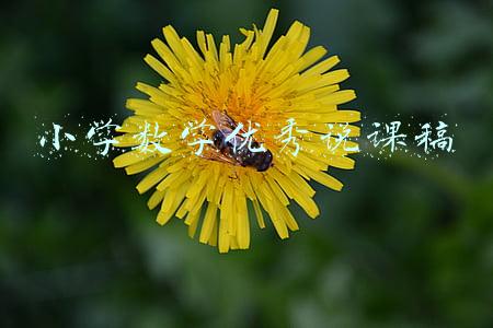 小学数学优秀说课稿
