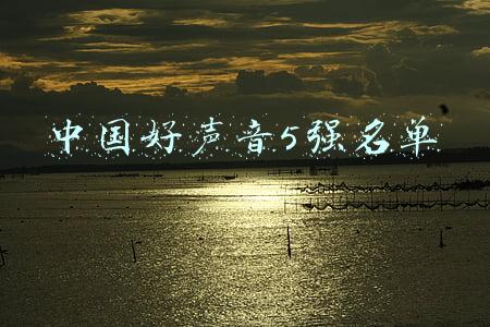 中国好声音5强名单